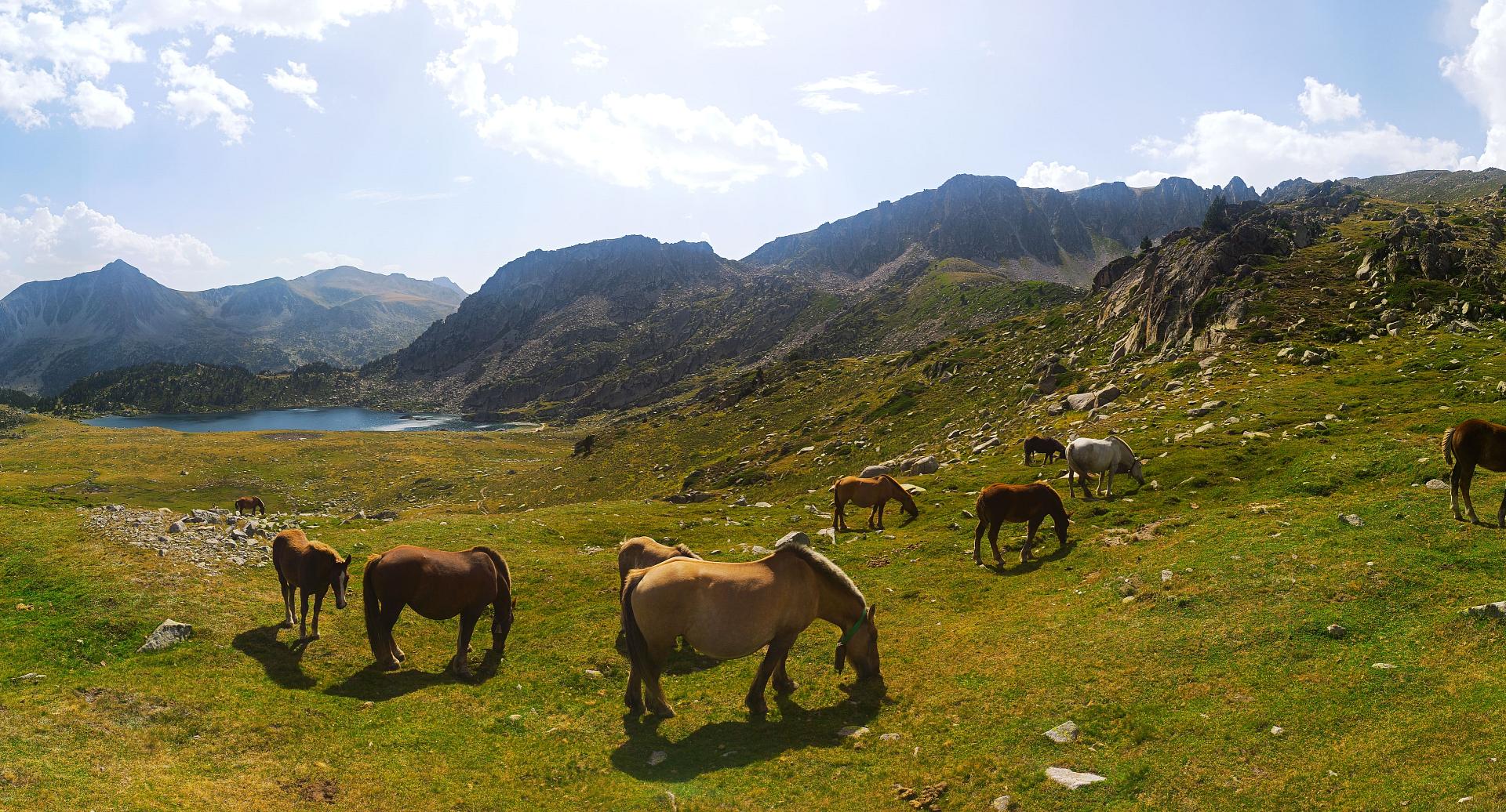 What to do in Andorra?
