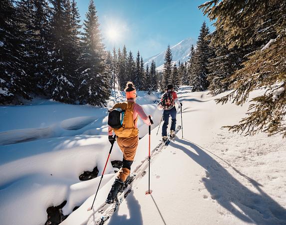 Cross country ski